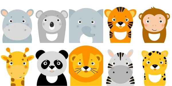 Ikony zwierząt dżungli, zwierzęta wektor, zwierzęta Safari, twarze zwierząt — Wektor stockowy