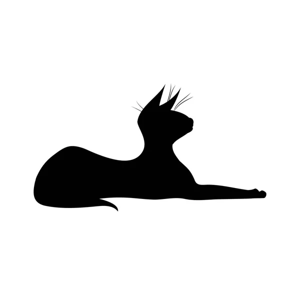 Silhouette Chat Sorcier Noir Couché Mignon Chat Sorcier Profil Illustration — Image vectorielle