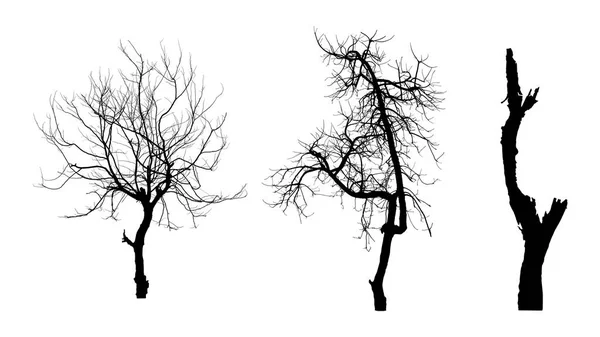beyaz zemin üzerine ağaçlarının silhouettes topluluğu