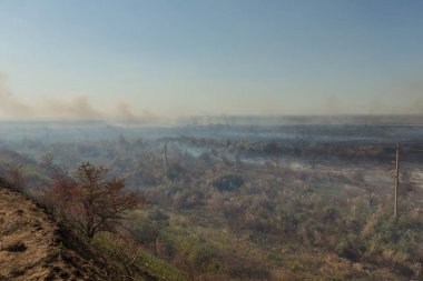 Orman yangını. Orman yangını, kirlilik ve çok fazla duman sonra yanmış ağaçlar