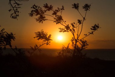 Sıcak bir akşam deniz güzel gün batımı