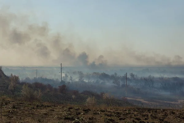 Incendio Forestale Alberi Bruciati Dopo Incendi Inquinamento Molto Fumo — Foto Stock