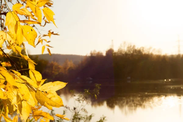 Мягкий осенний пейзаж, отраженный в спокойной воде — стоковое фото