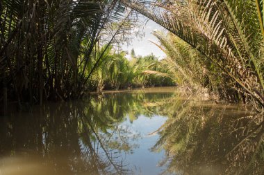 Mekong Nehri, Vietnam ve Asya 'da insanlar tekneyle geziyor.