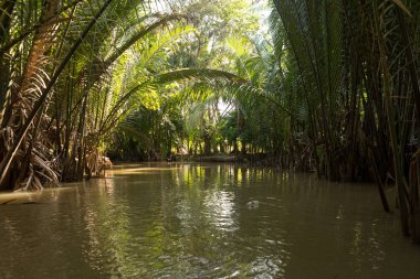 Mekong Nehri, Vietnam ve Asya 'da insanlar tekneyle geziyor.