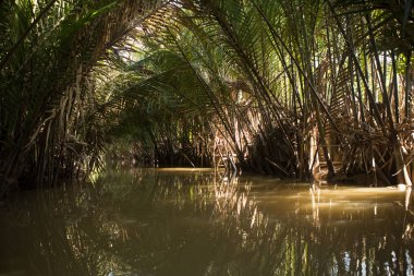 Mekong Nehri, Vietnam ve Asya 'da insanlar tekneyle geziyor.