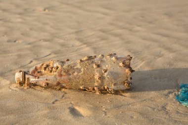 Plastik ürünler daha fazla doğa yapışmasına neden olabilir. Deniz kaya midyeleri ve sünger (foulers) ve döküm karaya sahilde, Deniz kirliliği kaplı plastik şişe.