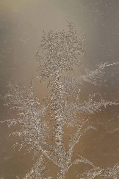 Frosty pattern on the glass, beautiful pattern — Stock Photo, Image