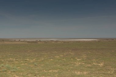 Aral Denizi felaketinin sonuçları. Aral Denizi 'nin eski alt yerinde bozkır ve kum. Kazakistan