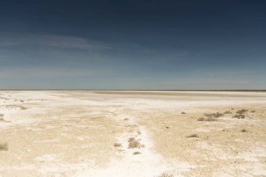 Aral deniz felaketinin sonuçları. Aral denizin eski dibinde kumlu tuz çölü.