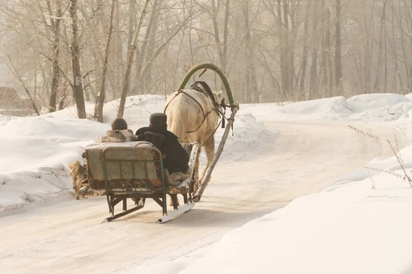 Um aldeão em uma aldeia vai em um trenó improvisado e corre um cavalo, um dia de inverno claro — Fotografia de Stock