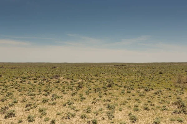 Steppes à la place de la mer d'Aral séchée.Kazakhstan, 2019 — Photo