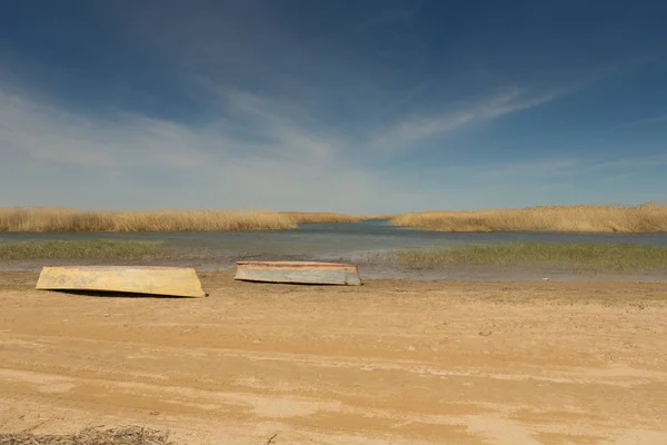 Un barco al revés. Botes de remos en las cañas. Barco de madera en una orilla de lago cubierta de hierba en un día de verano. Mar de Aral, Kazajstán — Foto de Stock