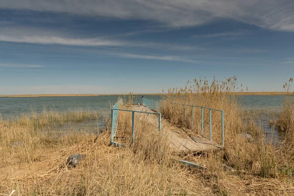 Antiguo embarcadero en la orilla del pequeño mar de Aral en Kazajstán. En primer plano está la hierba alta . — Foto de Stock