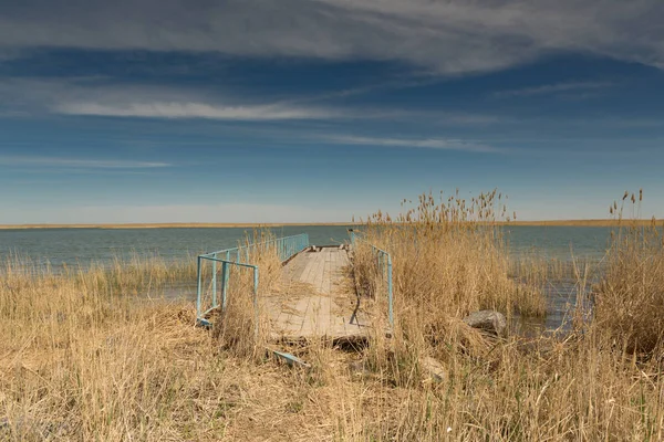 Antiguo embarcadero en la orilla del pequeño mar de Aral en Kazajstán. En primer plano está la hierba alta . — Foto de Stock