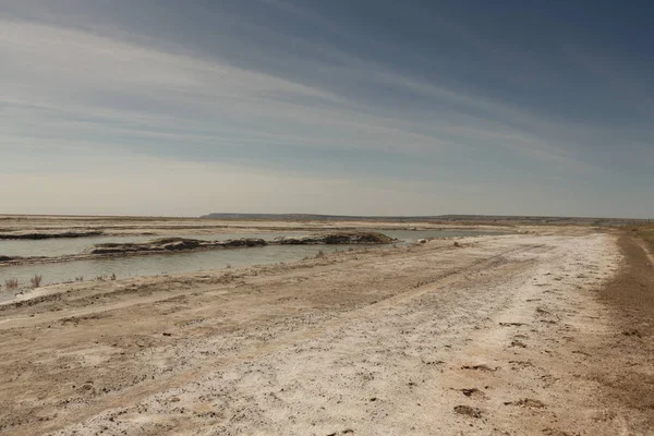 El seco mar de Aral en verano, la crisis del agua en el planeta y el concepto de cambio climático — Foto de Stock