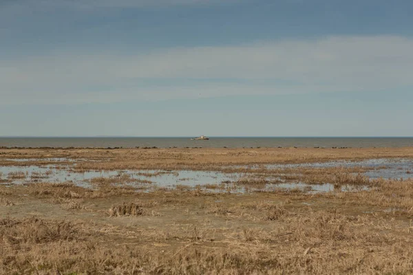 Pantanos herbáceos frente al mar de Aral, buque pesquero en el horizonte — Foto de Stock