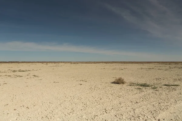 Konsekwencje katastrofy morskiej Aral. Piaszczysta pustynia Solna na miejscu dawnego dna morza Aral. — Zdjęcie stockowe