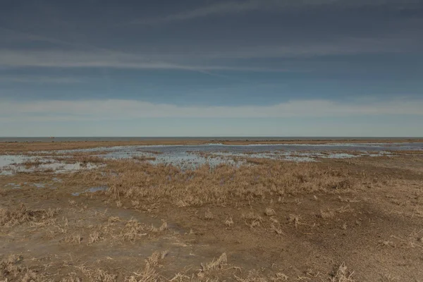 Marismas cubiertas de hierba en frente del mar de Aral, el mar entra en el horizonte — Foto de Stock