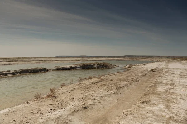 El seco mar de Aral en verano, la crisis del agua en el planeta y el concepto de cambio climático — Foto de Stock