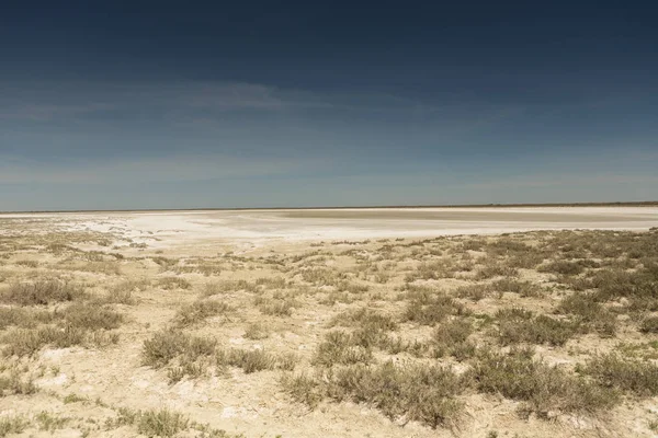 Konsekwencje katastrofy morskiej Aral. Stepowy i piasek na miejscu dawnego dna morza Aral. Kazachstan — Zdjęcie stockowe