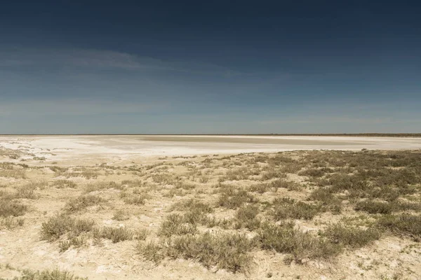 Konsekwencje katastrofy morskiej Aral. Stepowy i piasek na miejscu dawnego dna morza Aral. Kazachstan — Zdjęcie stockowe