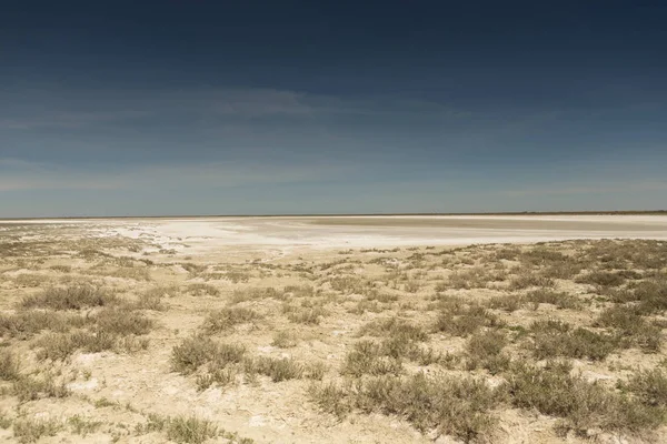 Conséquences du désastre de la mer d'Aral. Steppe et sable sur le site de l'ancien fond de la mer d'Aral. Kazakhstan — Photo