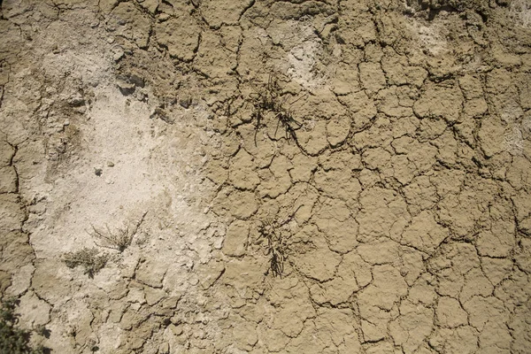 Consequences of Aral sea catastrophe. Sandy salt desert on the place of former bottom of Aral sea. — Stock Photo, Image