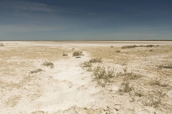 Conséquences de la catastrophe maritime d'Aral. désert de sel sablonneux sur la place de l'ancien fond de la mer d'Aral . — Photo