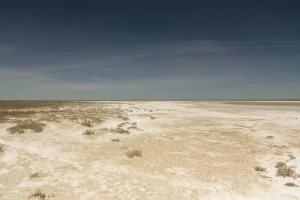 Conséquences de la catastrophe maritime d'Aral. désert de sel sablonneux sur la place de l'ancien fond de la mer d'Aral . — Photo