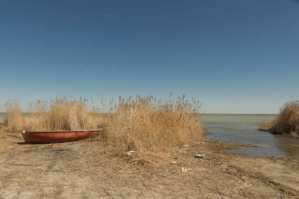 Botes de remos en las cañas. Barco de madera en la orilla cubierta de hierba del mar de Aral en un día de verano — Foto de Stock