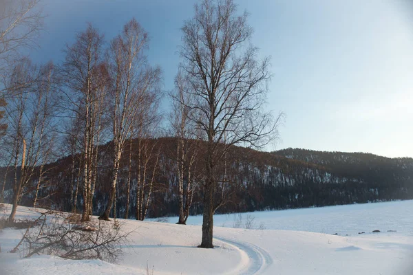 Tramonto inverno neve natura fiume orizzonte paesaggio. Inverno foresta di neve fiume tramonto vista. Tramonto inverno fiume neve. Inverno tramonto fiume — Foto Stock