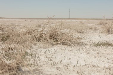 Kurutulmuş Aral Denizi yerine tuz bataklıları. Kazakistan, 2019