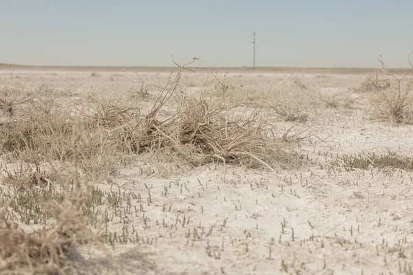 Marais salés à la place de la mer d'Aral desséchée.Kazakhstan, 2019 — Photo