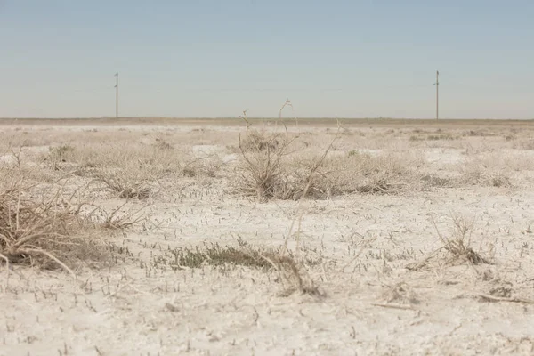 Kurutulmuş Aral Denizi yerine tuz bataklıları. Kazakistan, 2019