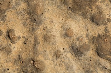 kahverengi taş doku, yakın çekim taş arka plan dokusu