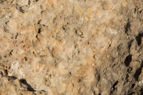 Kahverengi taş doku, yakın çekim taş arka plan dokusu — Stok fotoğraf