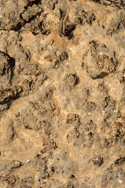 Textura de piedra marrón, textura de fondo de piedra de primer plano — Foto de Stock