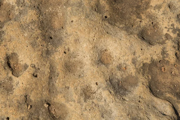 Bruine stenen textuur, close-up stenen achtergrond textuur — Stockfoto