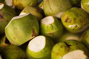 Yeşil hindistan cevizi, olgunlaşmamış hindistan cevizi suyu.