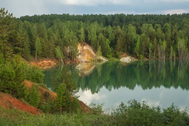 Orman gölü manzarası. Göl manzaralı orman