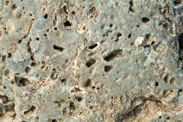 Textura Pedra Cinza Com Manchas Furos — Fotografia de Stock