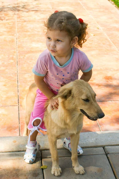 Bambino Abbraccia Amorevolmente Suo Amato Cane Rosso — Foto Stock