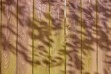 Eski ahşap panoları, yeşilimsi moss gri