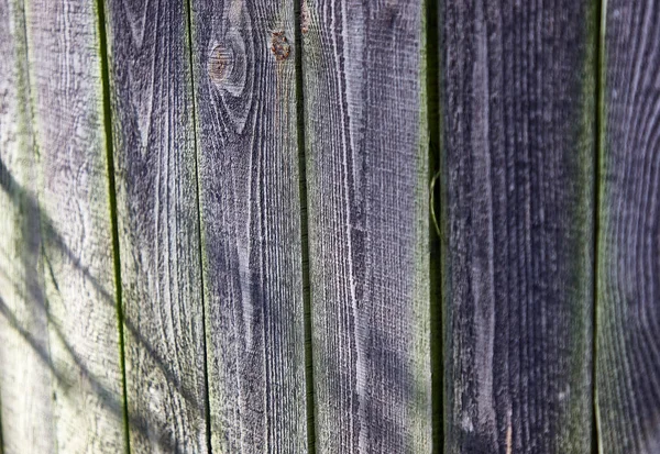 Alte graue Holzbretter, grünliches Moos — Stockfoto