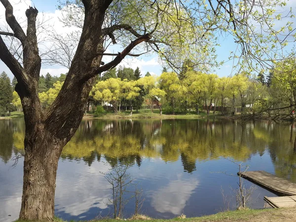 Vista del estanque de primavera con —  Fotos de Stock