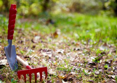 Arka plan, temizlik, küçük kürek, Komisyon, sol taraftaki bahçe