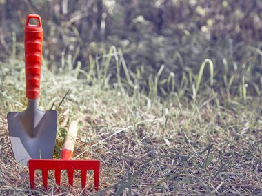 Arka plan, temizlik, küçük kürek, Komisyon, sol taraftaki bahçe