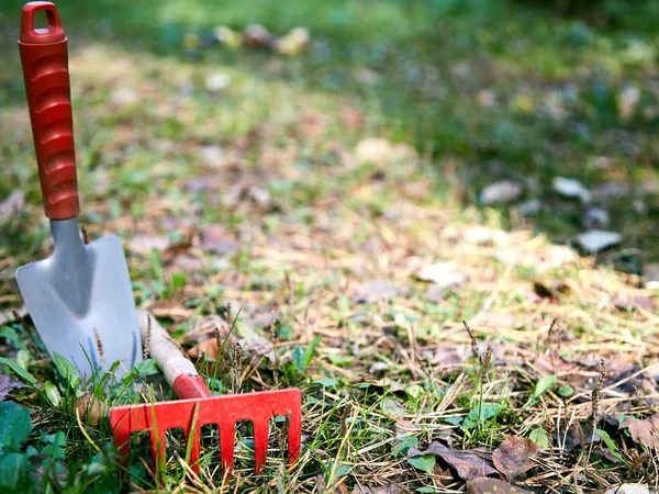 Garden cleaning, small shovel, rake, — Stock Photo, Image