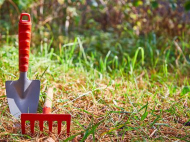 Arka plan, temizlik, küçük kürek, Komisyon, sol taraftaki bahçe